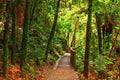 Sample – NZ Scenery - Mangapohue - Custom Sized Wallpaper Mural (per m2)