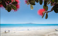 Sample – NZ Scenery - Pohutakawa - Custom Sized Wallpaper Mural (per m2)