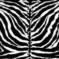 Sample – Tiger Stripe Florence Broadhurst Wallpaper - Magpie