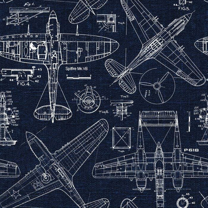 Sample – Zoom Airplane - Blue - Custom Sized Wallpaper Mural (per m2)