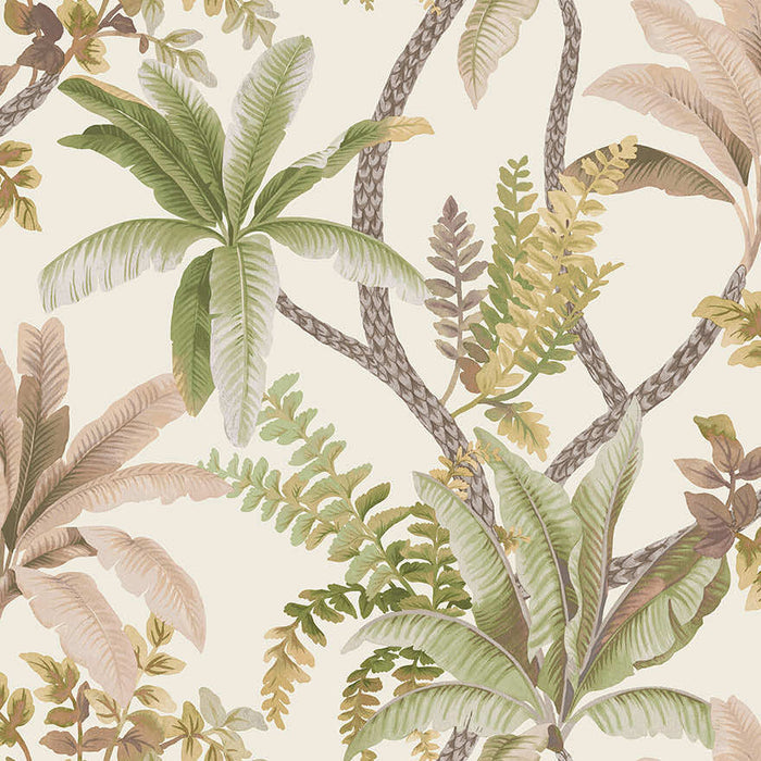Saranda wallpaper in Sage/Coral, showing trailing palm and fern fronds with coral-orange accents over a cream background
