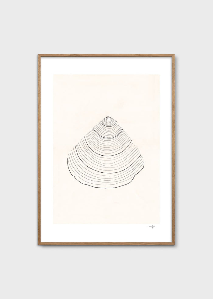 Shell by Ana Frois