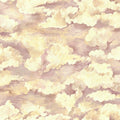 Coral sora tranquil cloud wallpaper with soft, painterly drifting clouds — flat pattern detail