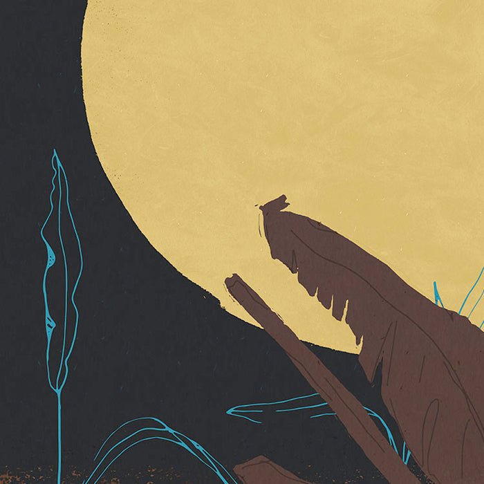 Supermoon - Custom Sized Mural Wallpaper (per m2)