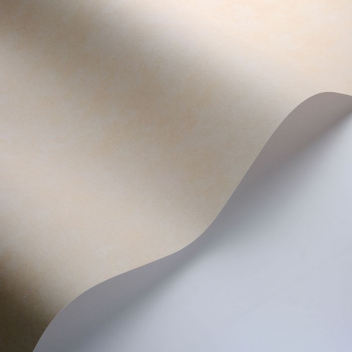 VALLAURIS Plain Wallpaper - Sable
