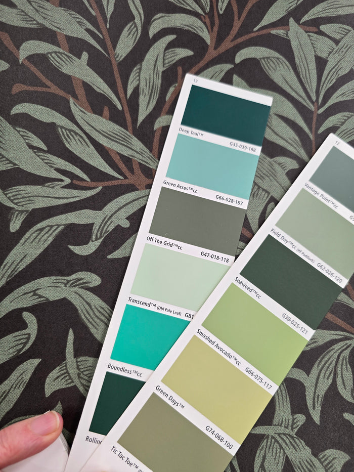Willow Leaf Wallpaper - Black and Green